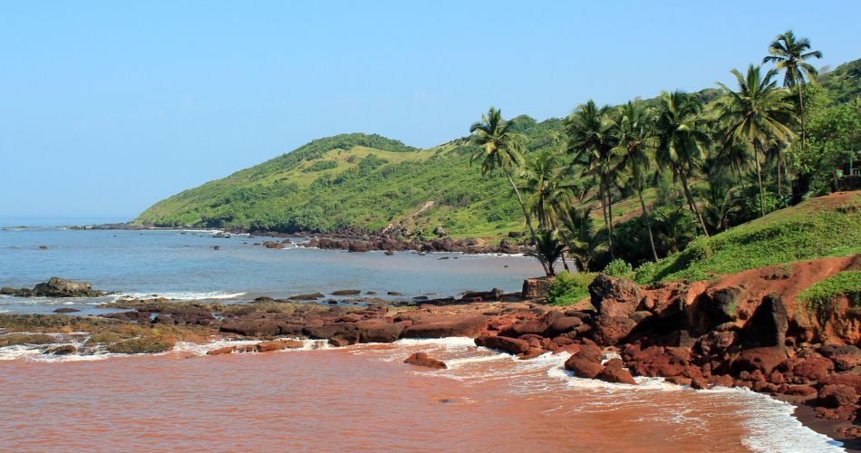 xr:d:DAGA6LhxGcQ:13,j:3753047600834777456,t:24032916